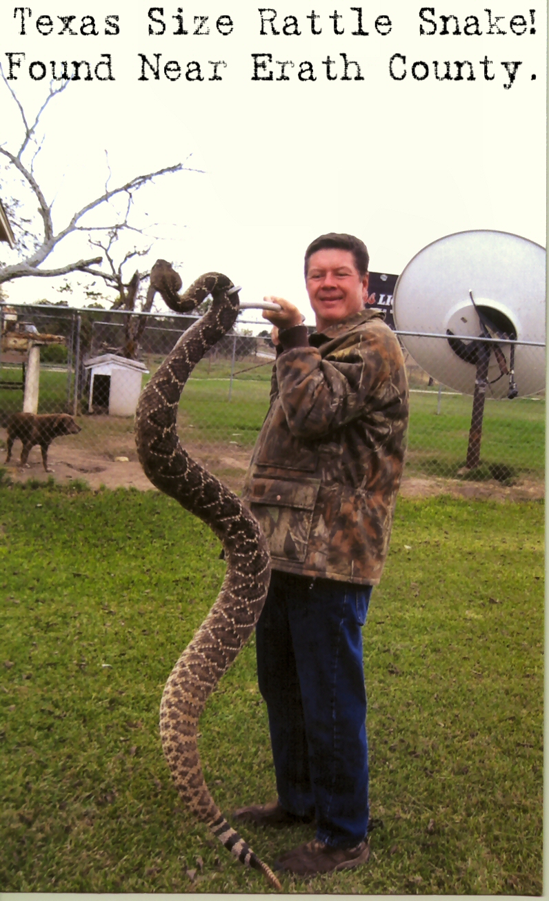 texas rattler