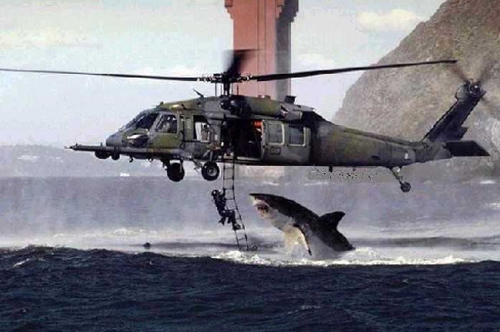 helicopter and shark